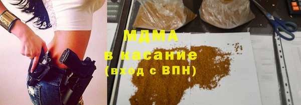 индика Нягань