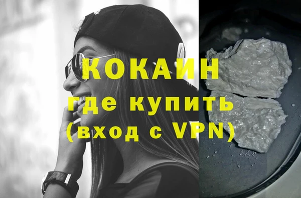 индика Нягань