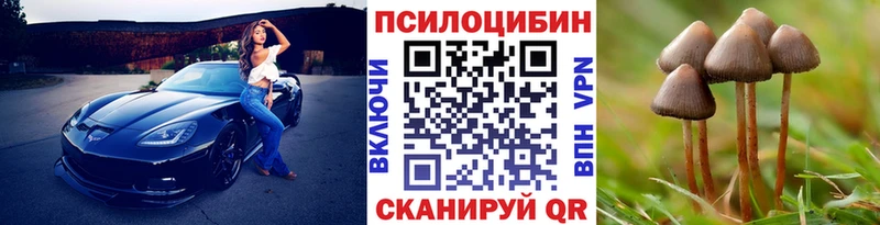 Галлюциногенные грибы мицелий  что такое наркотик  Межгорье 